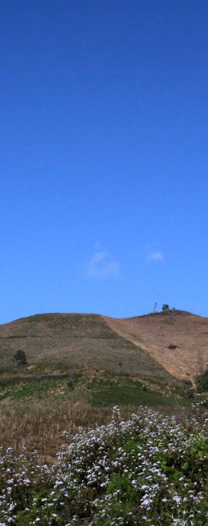 IMG_3139aa.jpg