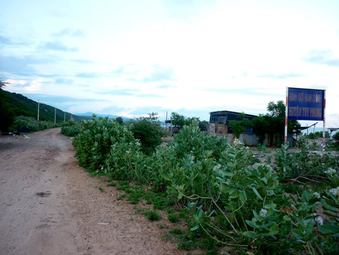 P1370242-1.jpg