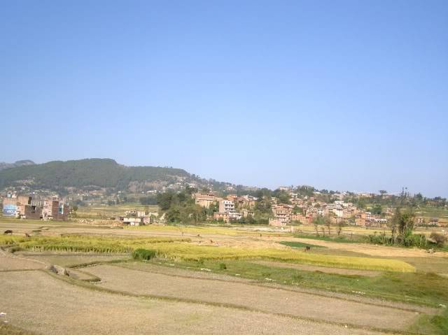 PB060917.jpg