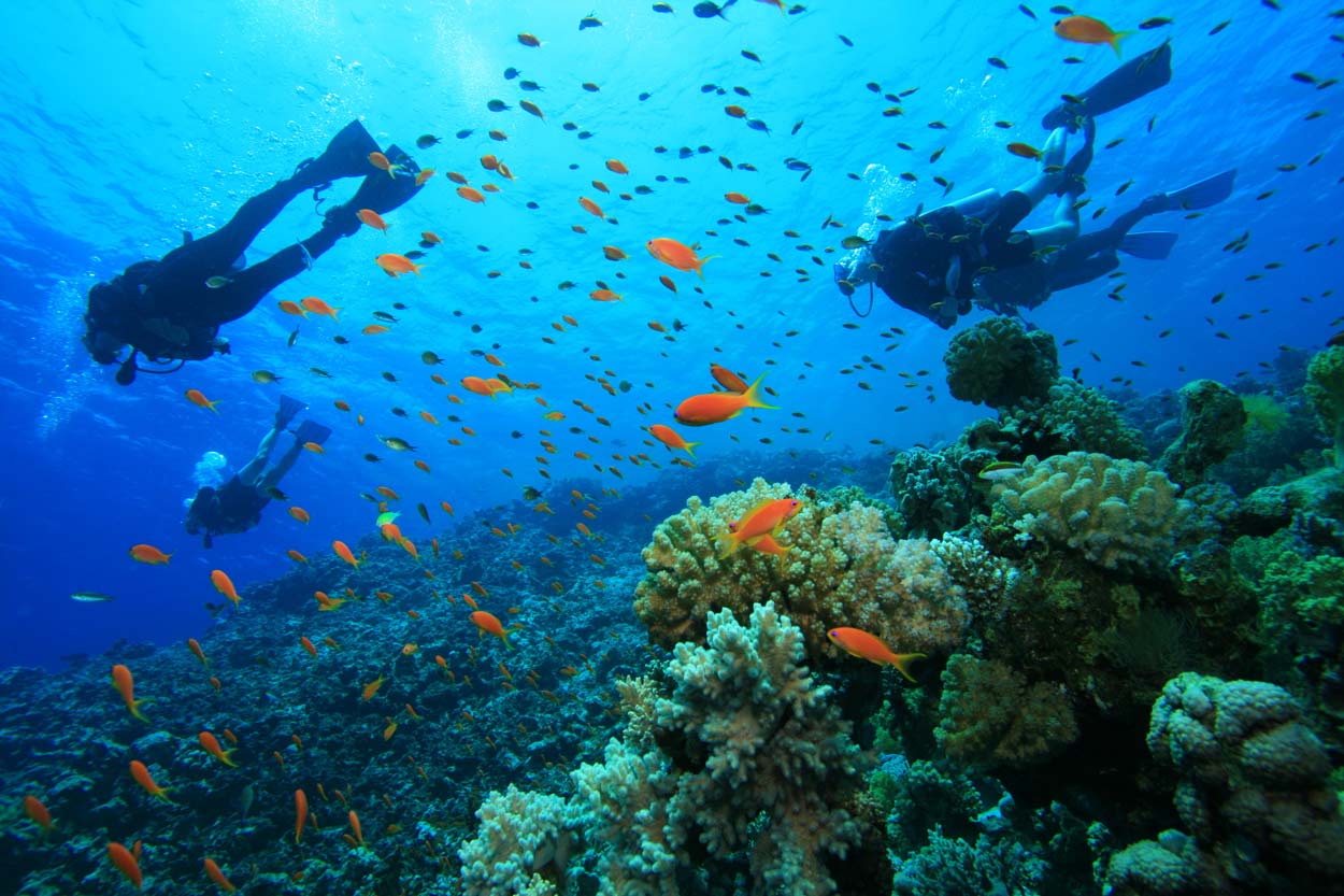 Gili-Air-Diving.jpg