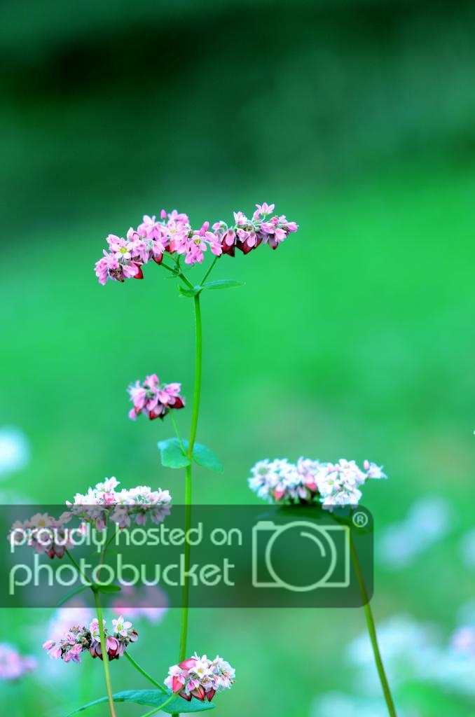 5442_zpsdba9ef89.jpg