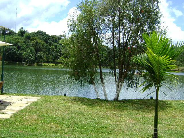 DSC01277.jpg