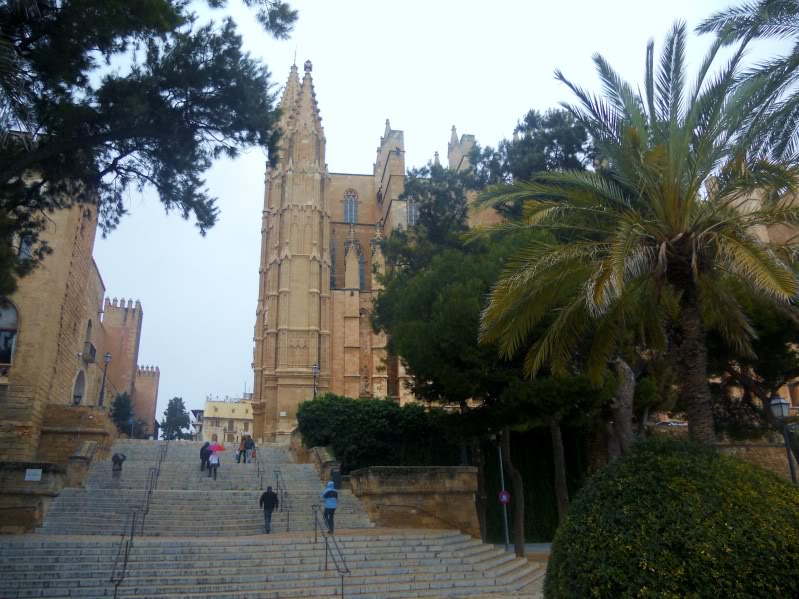 DSCN6689.jpg
