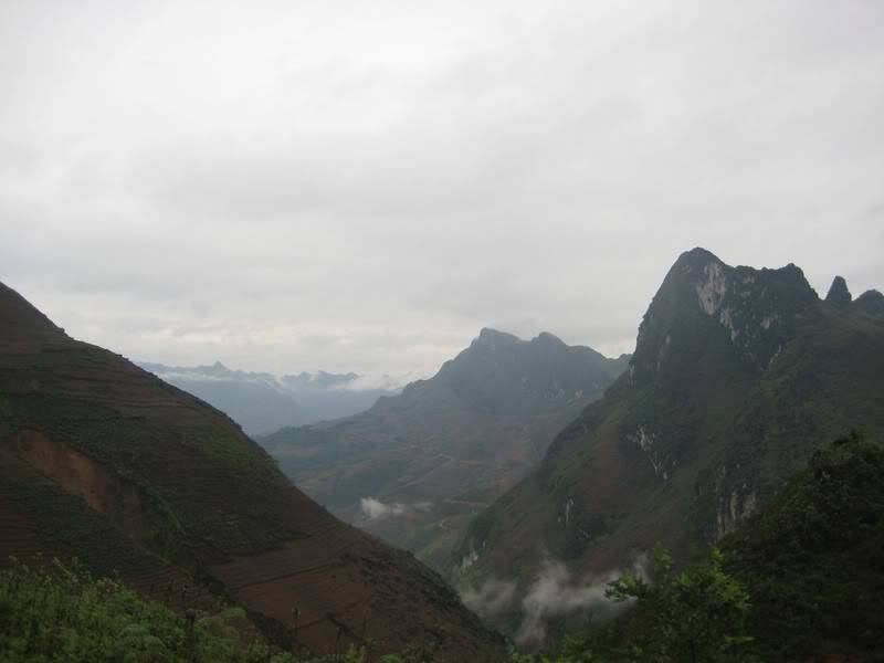 IMG_3424.jpg