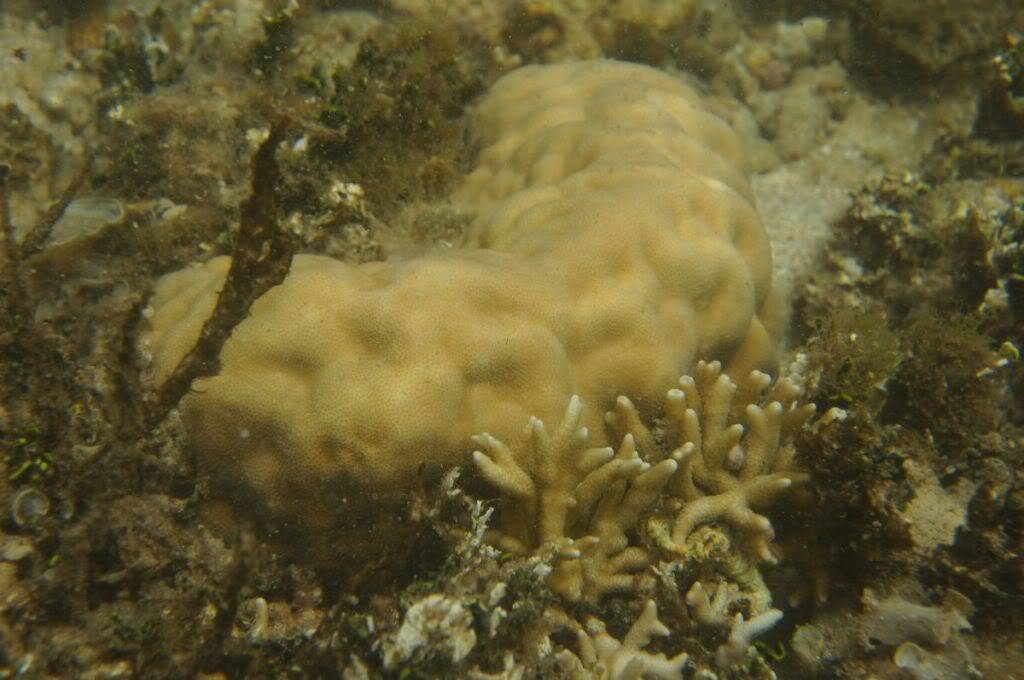 DSC06469.jpg