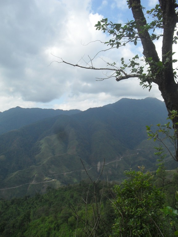 SDC12468_zpse5932aa9.jpg