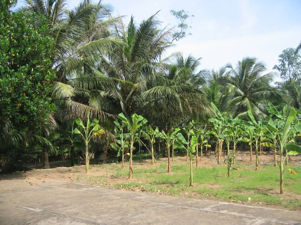 TrVinh013.jpg