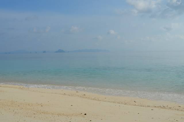 DSC_2211.jpg