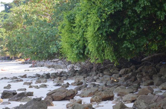 DSC_2107.jpg