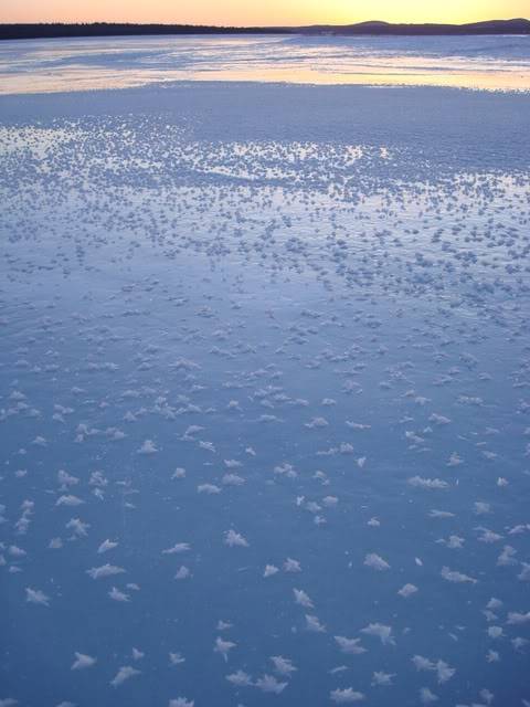 DSC09006.jpg