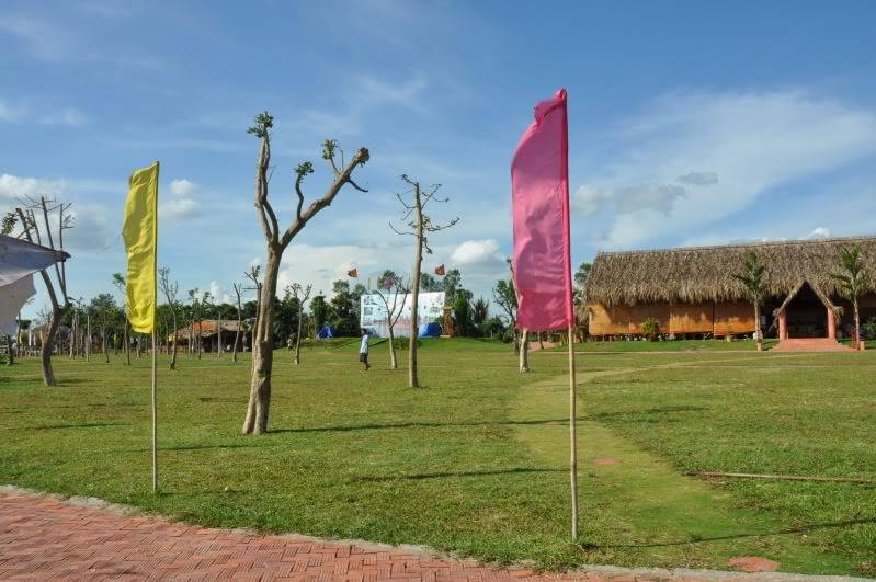 DSC_0374.jpg