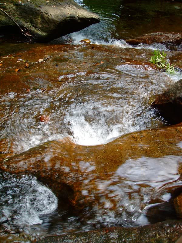SANY4397.jpg