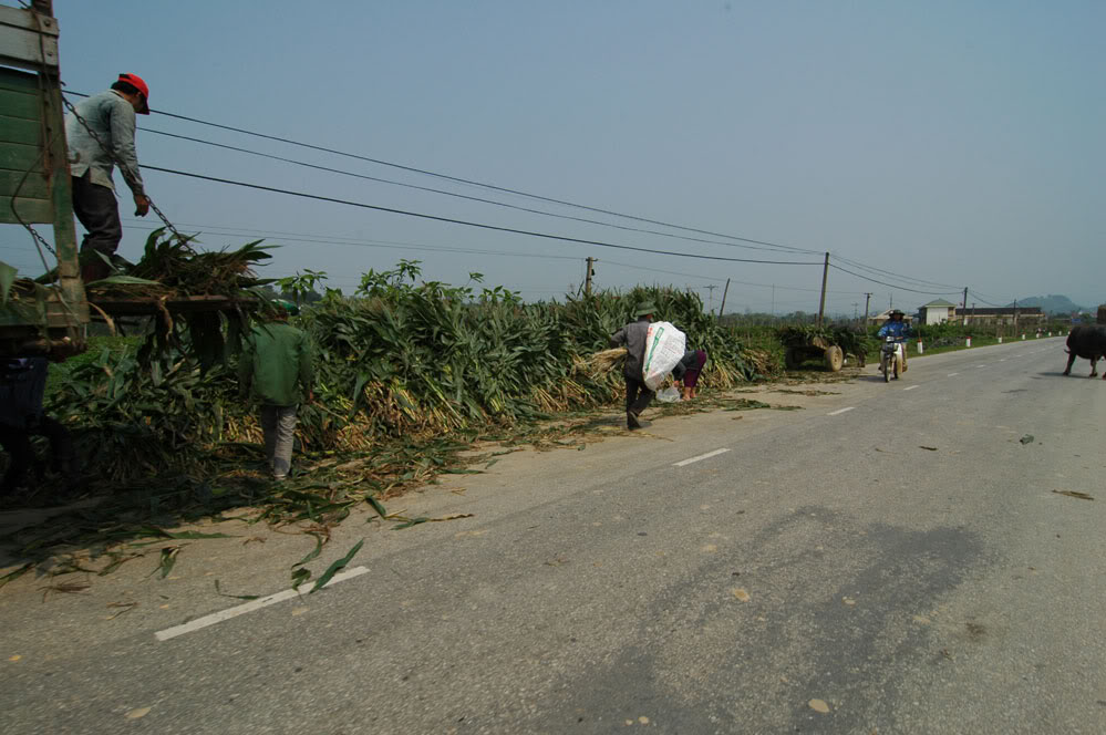 DSC_3151.jpg