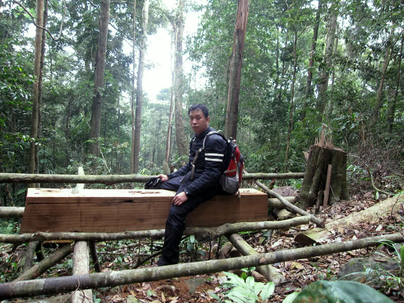 Xuanson2009272.jpg
