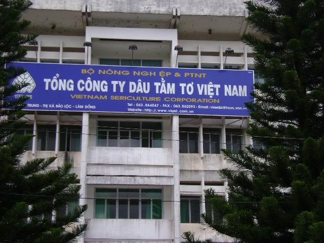 DSC01289.jpg