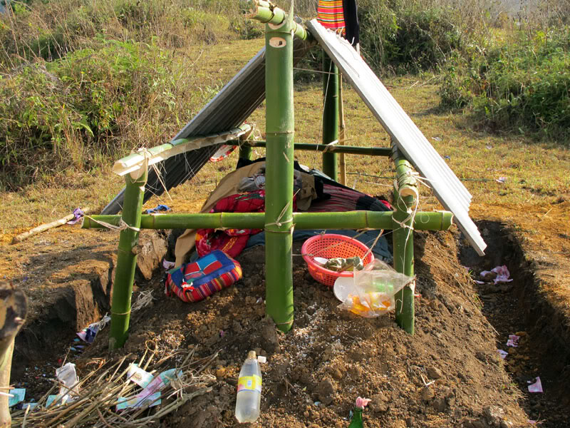 HongNgai2011108.jpg