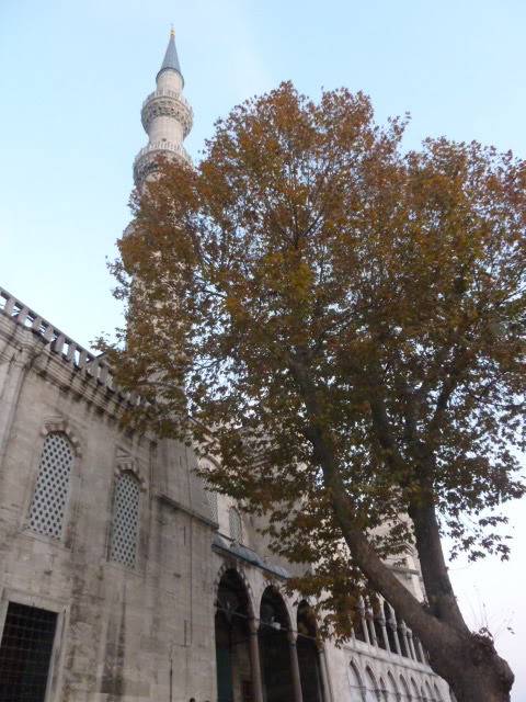L1020726.jpg