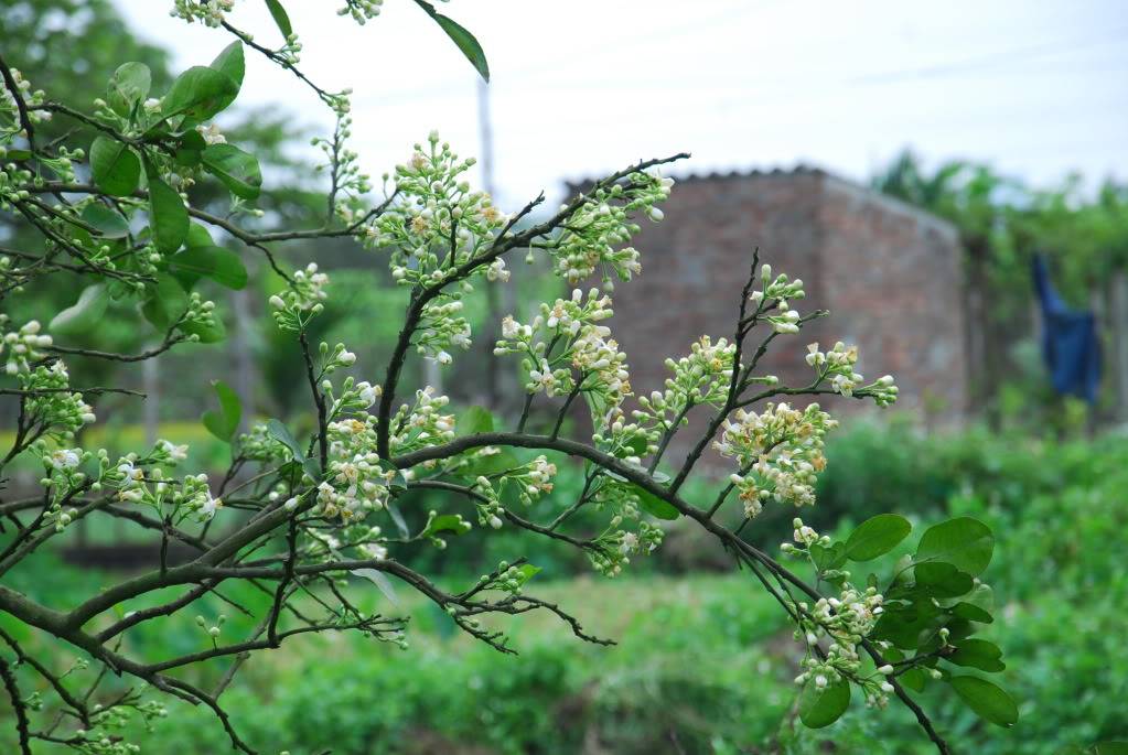 DSC_0102.jpg