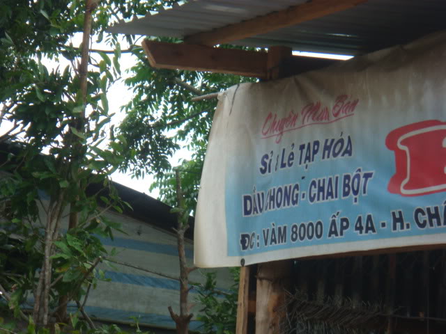 313.jpg