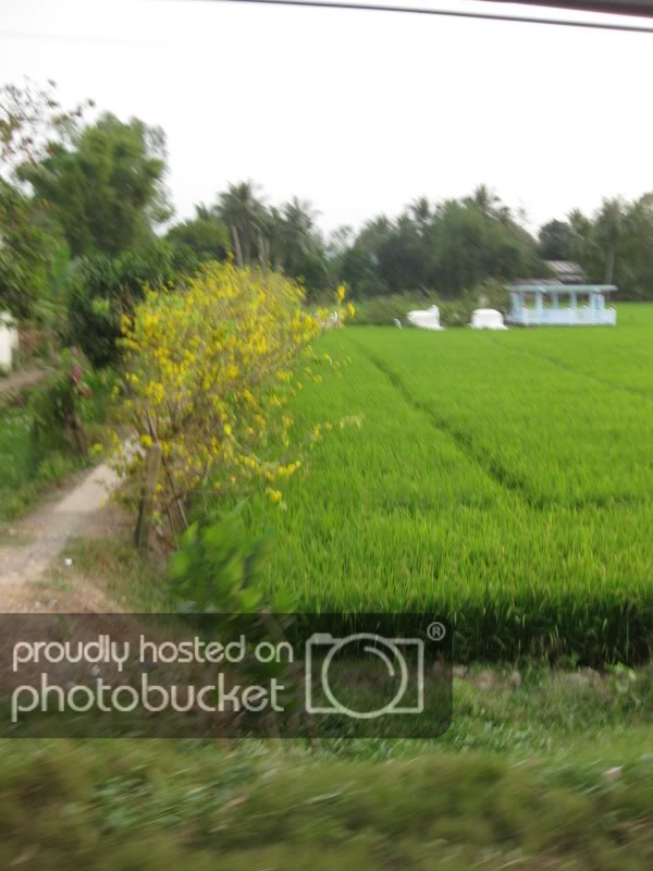 DongThapTET2011538.jpg