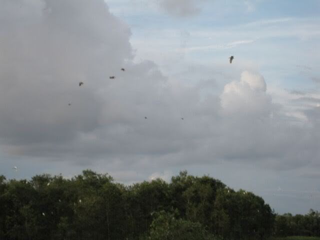IMG_1915.jpg