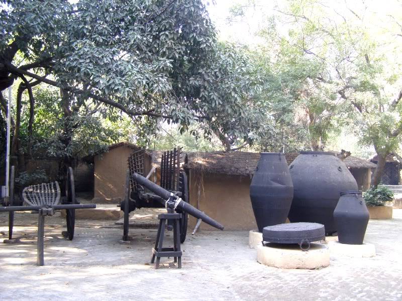 PB231416.jpg
