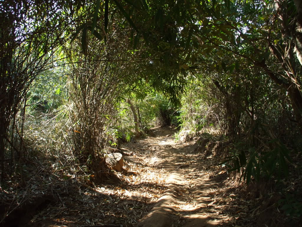 DSCF43441.jpg