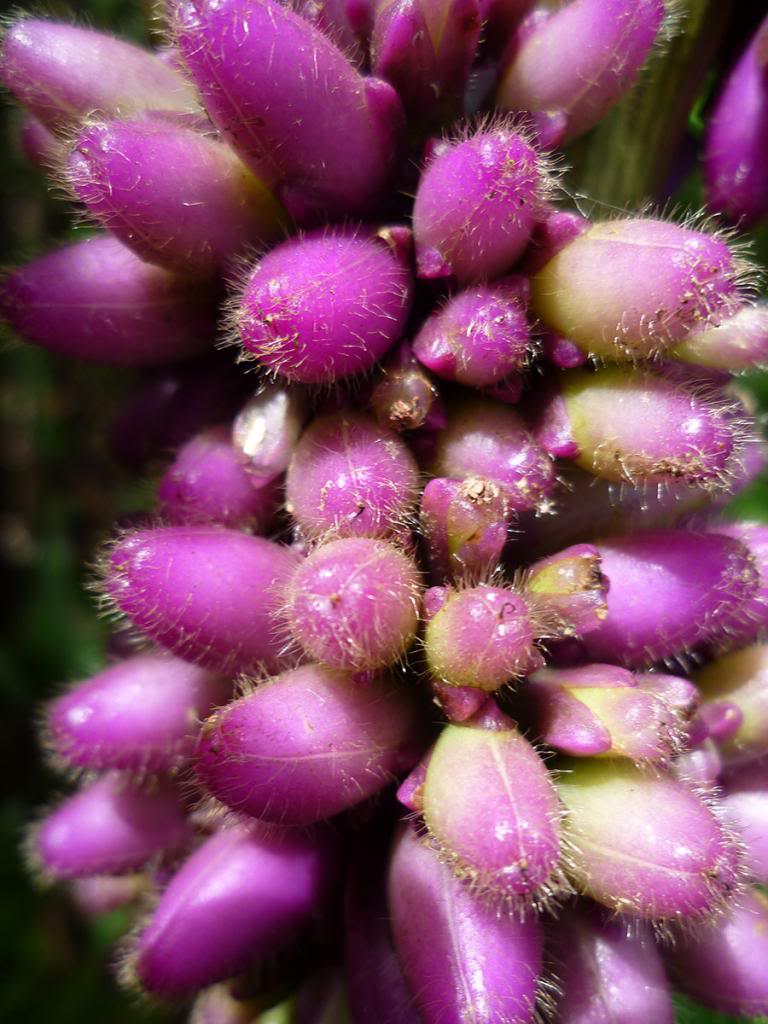 P1070234_zps8b9018e6.jpg