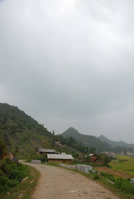 DSC_0501.jpg