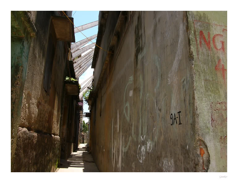 th06.jpg