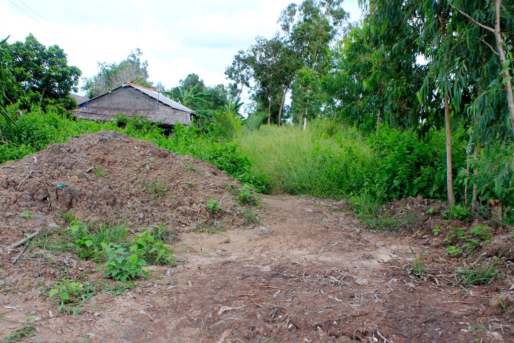 _MG_8956_zpsopmtsiwe.jpg