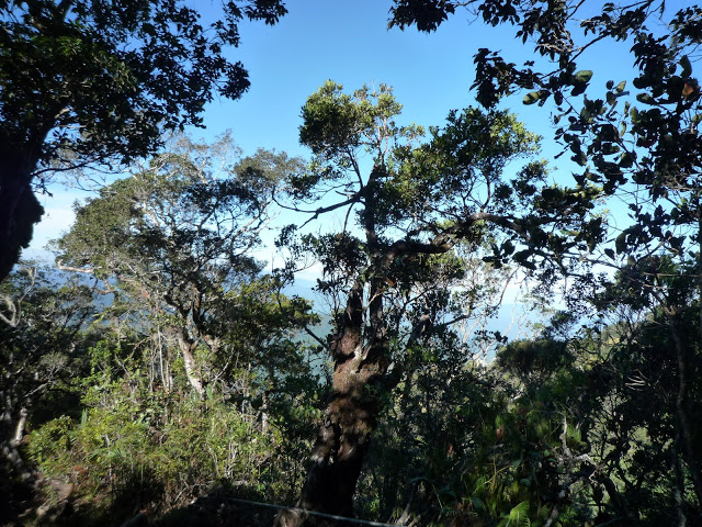 P1100346.JPG