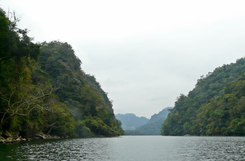 P1050592.JPG