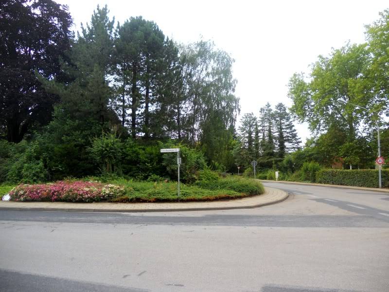 DSCN8720.jpg