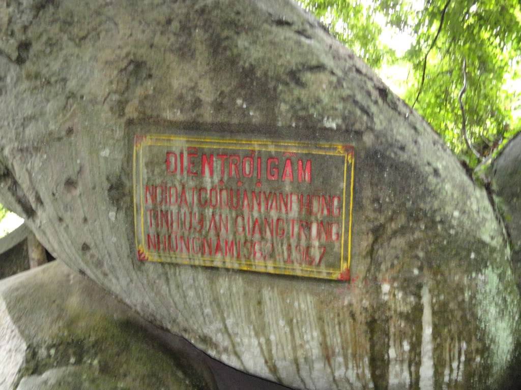 DSC00524.jpg