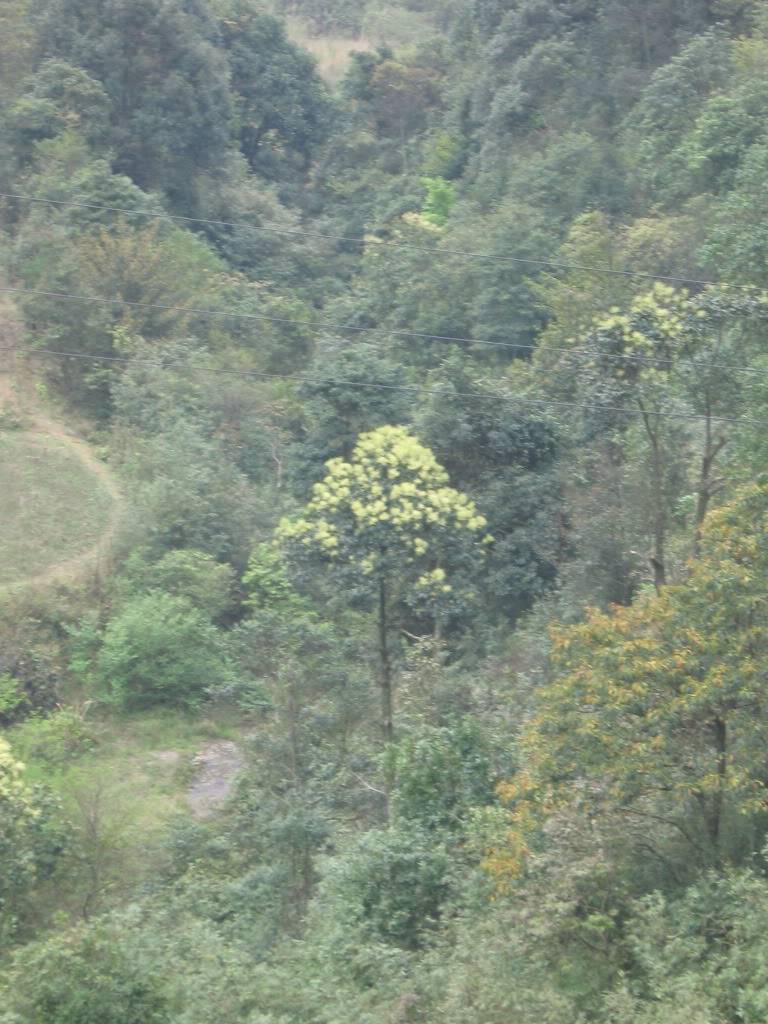 IMG_0180.jpg