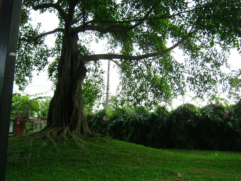 IMG_9746.jpg