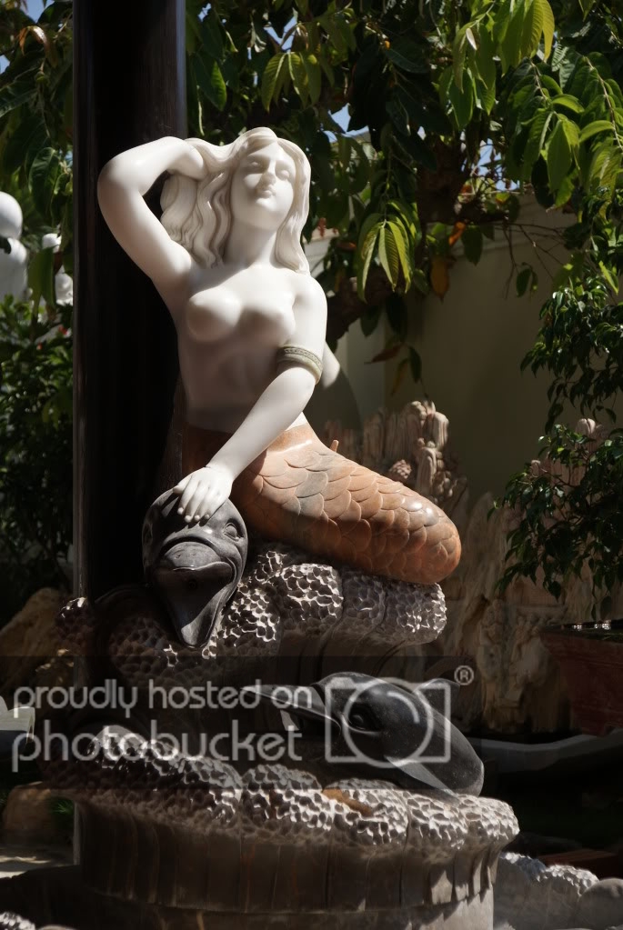 DSC00939-1.jpg