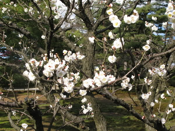 IMG_1845_resize.jpg