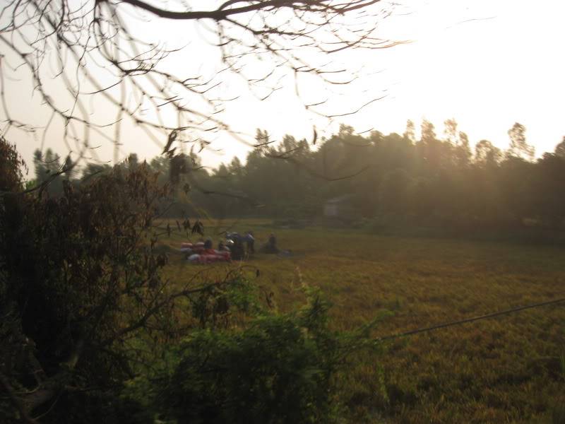 DongThapTET2011257.jpg