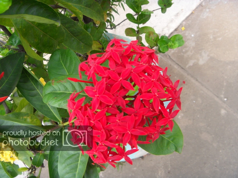 SDC13957.jpg
