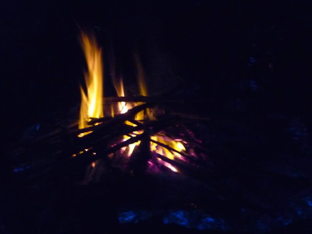 P1010345.jpg