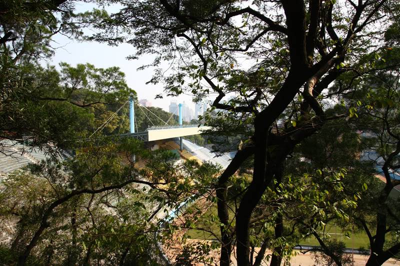 stadium6.jpg