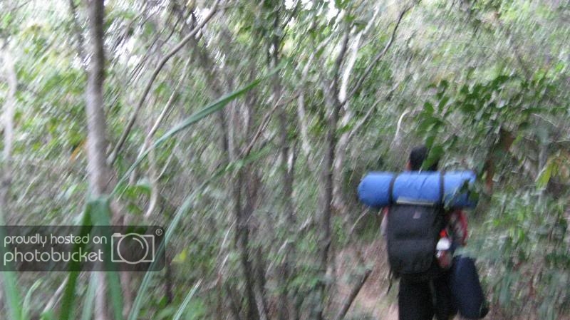 IMG_4508.jpg