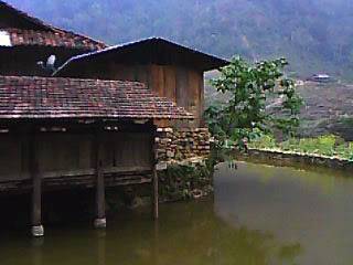IMG0097A.jpg