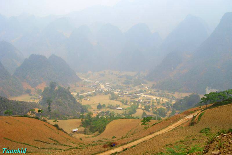 SDC16845.jpg