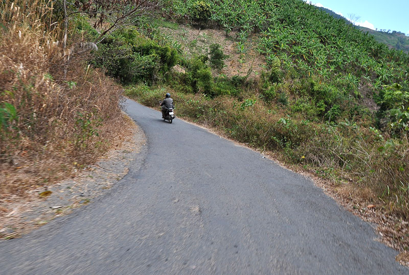 DSC_8817.jpg