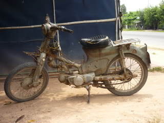P1000652.jpg