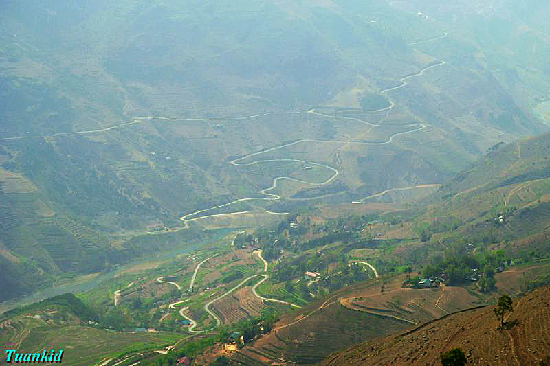 SDC16568.jpg