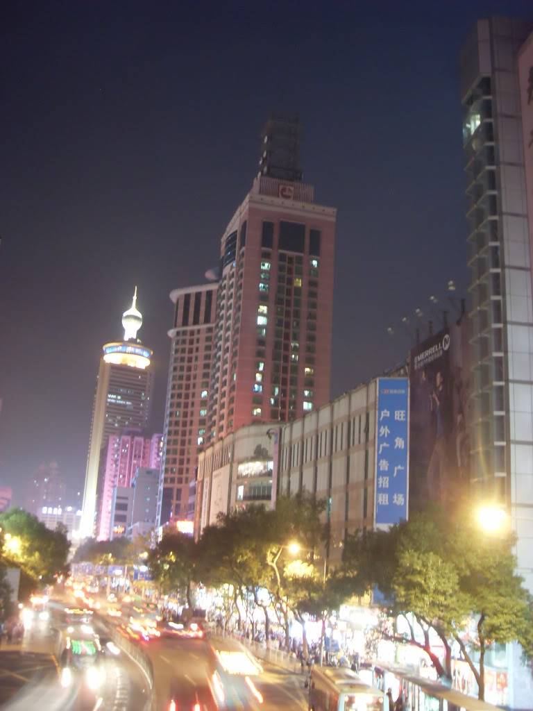 49541066.jpg